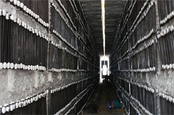 重汽電阻帶 重汽電阻帶