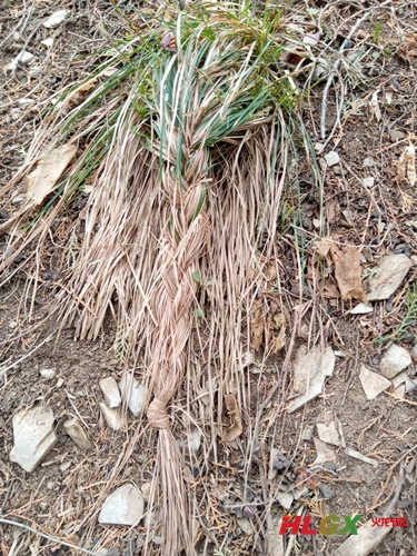 徒步藏龍澗 徒步藏龍澗