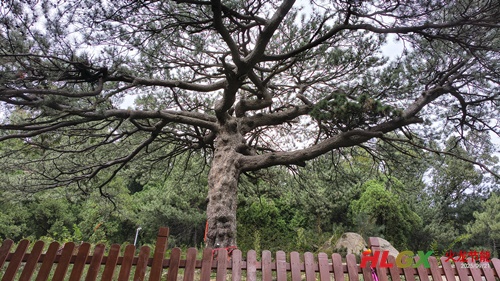 遇見(jiàn)云上 遇見(jiàn)云上